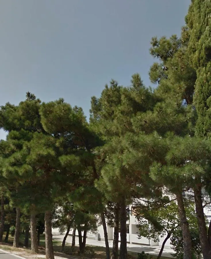 Mileva Apartment Split Croatia